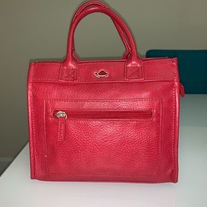 Carpisa purse